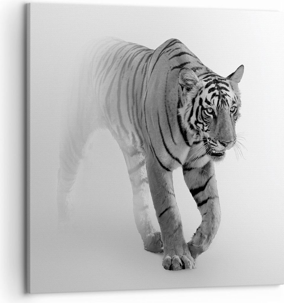 Bild auf Leinwand - Leinwandbild - Einteilig - Tiger Monochrom Porträt - 50x50cm - Wand Bild - Wanddeko - Wandbilder - Leinwanddruck - Bilder - Wa...