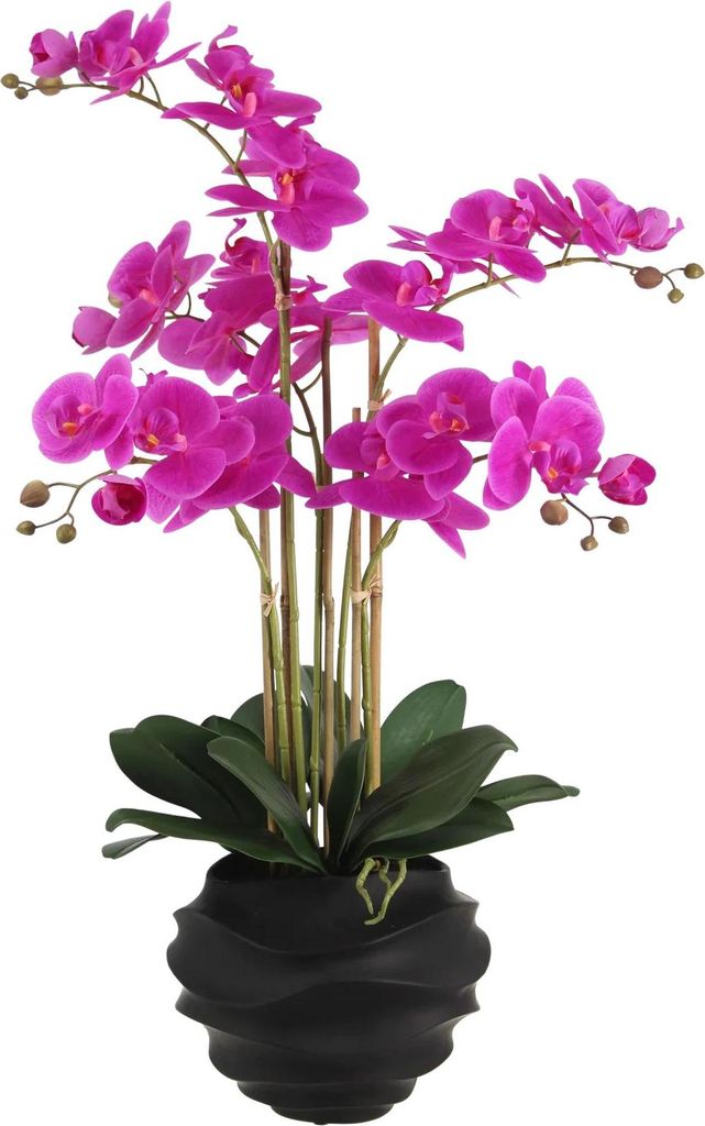 aplanta Künstliche Orchidee - Li | 67 cm, inkl. Dekotopf, für drinnen, Kunstblume, wie echt, Allergiker geeignet, pflanzliche Dekoration Praxis, ...