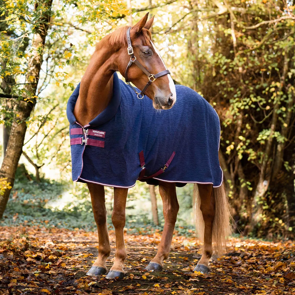 Couverture Séchante Cheval Cosy Neck pour Transport et Box 160cm