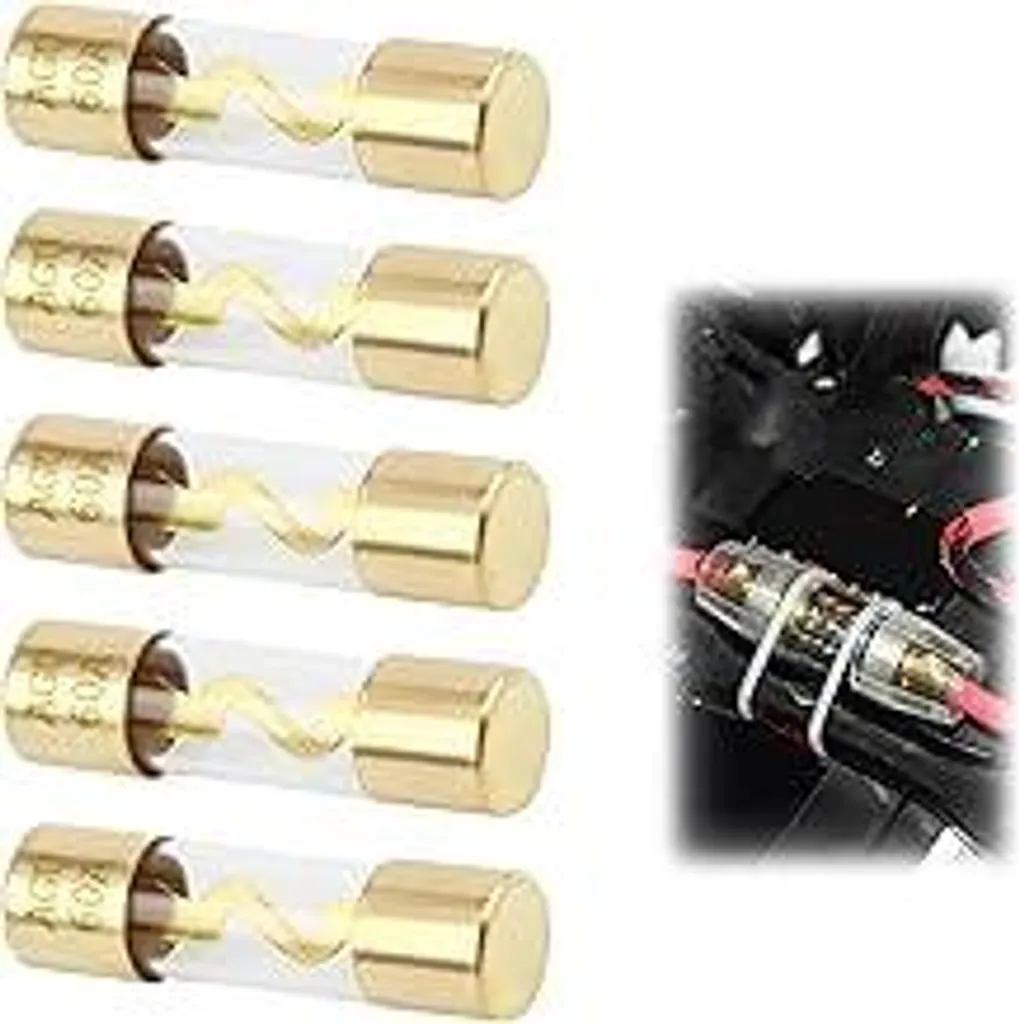 5 Fusibili AGU 60 Ampere Vetro Professionale 12V-48V Automotive