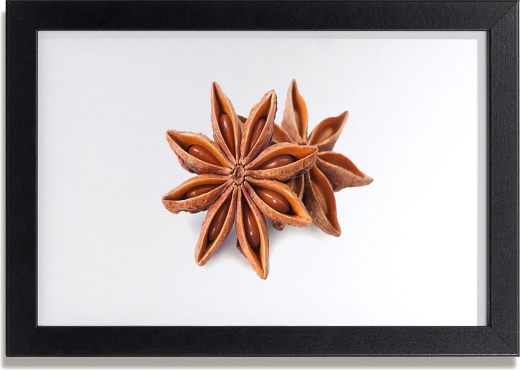Bild 30x20 MDF-Rahmen Wandkunst Sternanis Spice