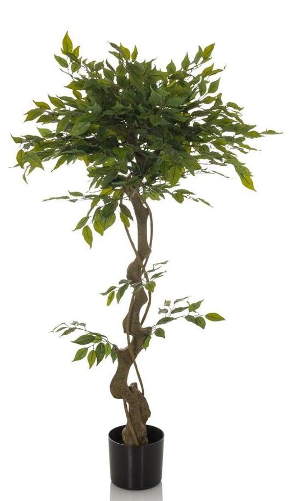 hjh OFFICE Umelá rastlina FICUS I Umelá rastlina breza Obrázok produktu 