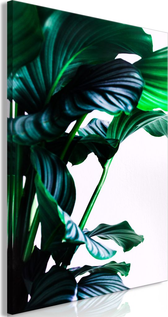 Italienischer Leinwand Leinwandbild - Springy Leaves (1 Part) Vertical 80x120 cm Blätter b-C-0688-b-a