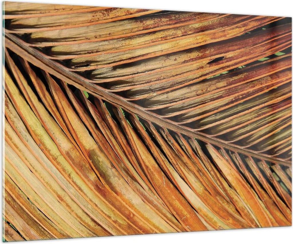 Bilder auf glas - Einteilig - Orange Blatt Tropisch - 100x70cm - Glasbilder - Wandbilder - Bilder - zum Aufhängen bereit - Wanddekoration aus Glas...