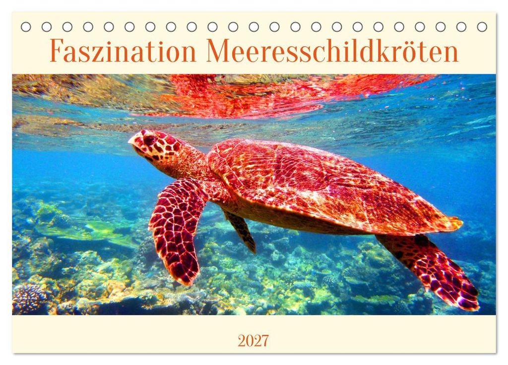 Faszination Meeresschildkröten (Tischkalender 2027 DIN A5 quer), CALVENDO Monatskalender
