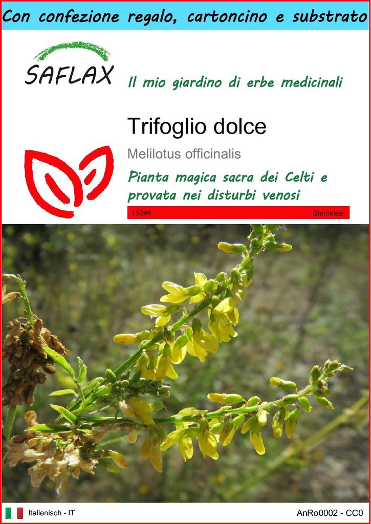 SAFLAX Set regalo - Trifoglio dolce - 250 semi - Melilotus Immagine del prodotto 