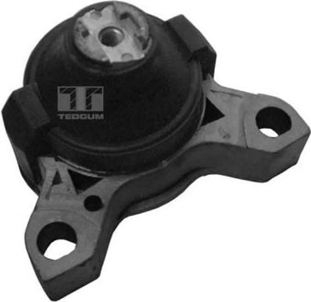 Supprimer les Bruits Moteur avec le Roulement TEDGUM OE 1000941