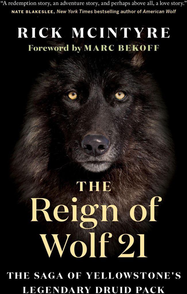 The Reign of Wolf 21