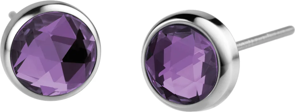 Orecchini Bering 722-1150-05: La Magia Viola dell'Artico