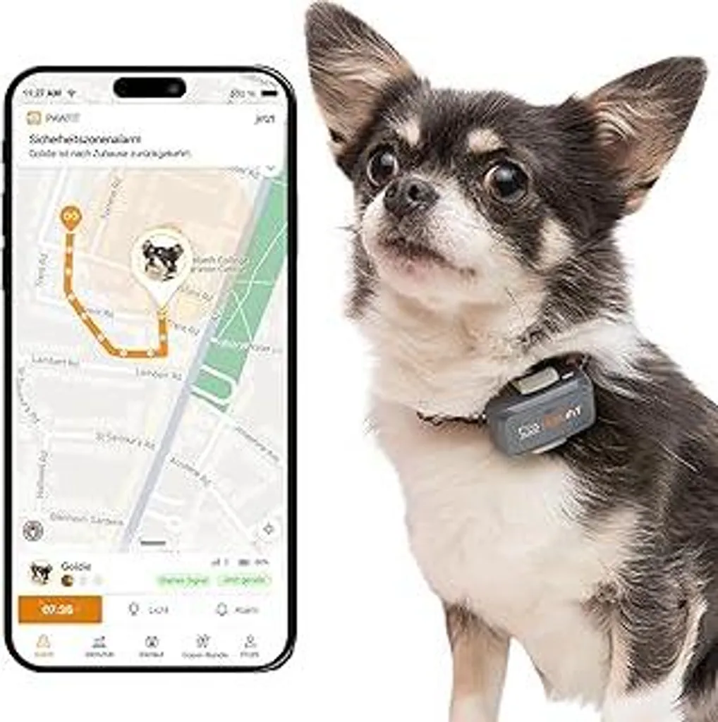 Localizzatore GPS Pawfit Lite 4G per Cani - Monitoraggio Attività IP68