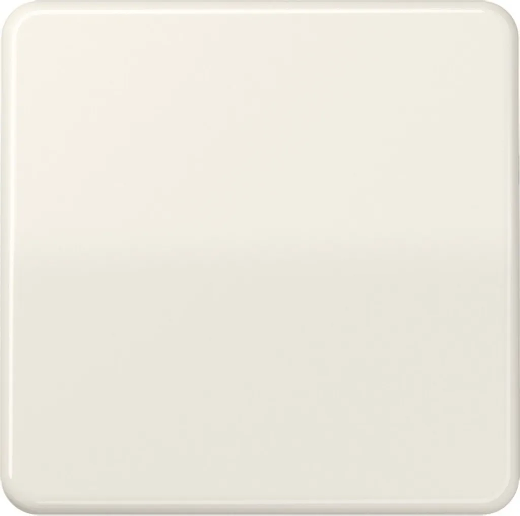Touche pour interrupteur blanc alpin Jung Bascule ws CD 590 BF CD590BF