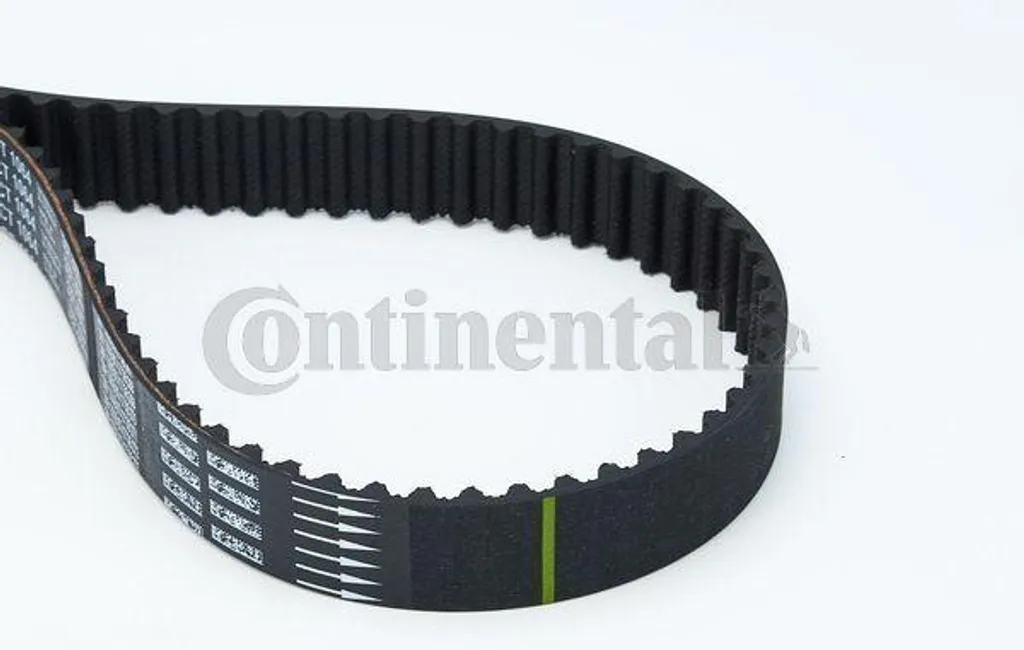 Courroie de transmission CT1064 pour révision Renault Laguna et Megane