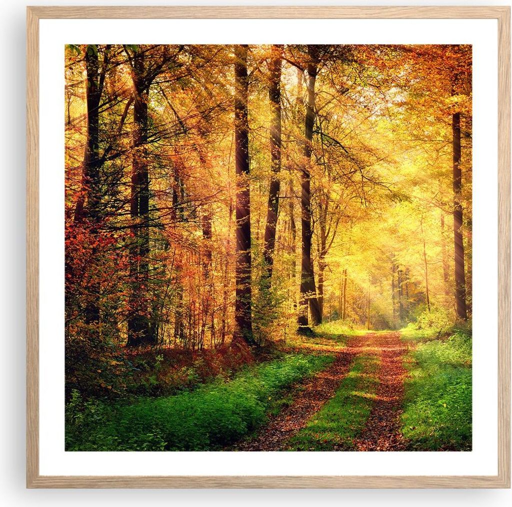 Gerahmtes Poster - Rahmen in heller Eiche - Wald Baum Natur - 60x60 cm - Wand Bild - Wanddeko - Wandbilder - Kunstposter - Wandposter - Bilderrahme...