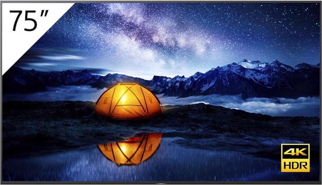 Sony FW-75BZ40H/1 75' professionelles Display mit Acoustic Multi-Audio & X-Motion Clarity