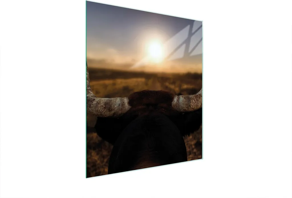 Tagliere in vetro 45x52 sole