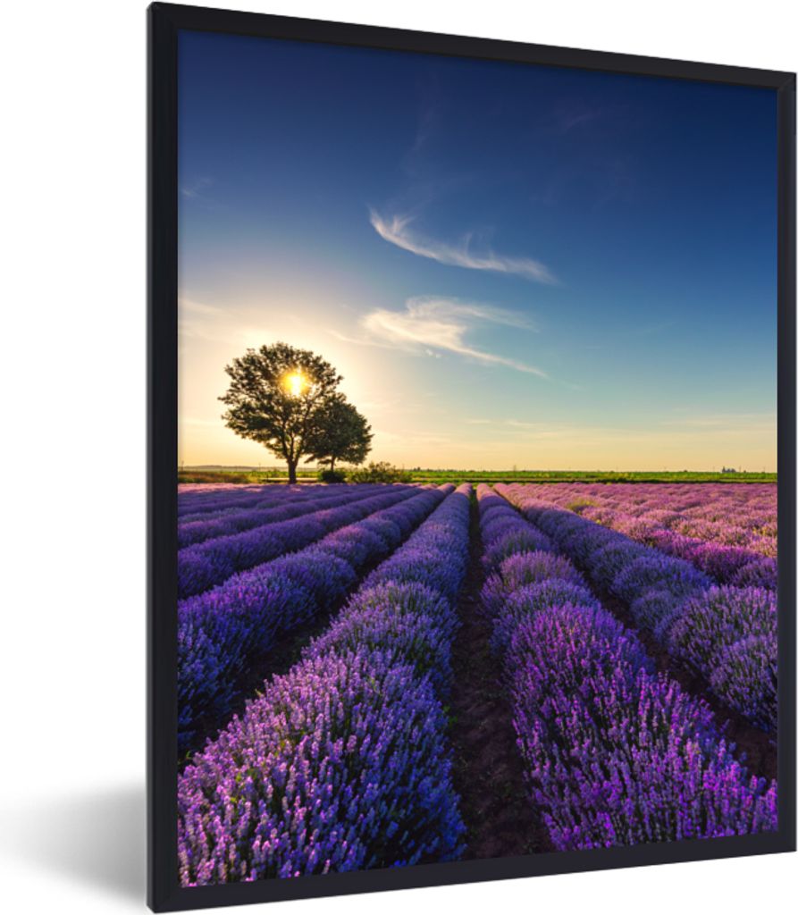 MuchoWow Gerahmtes Poster Lavendel - Sonne - Baum - Blumen - Lila 30x40 cm - Poster mit Schwarzem Bilderrahmen Wandposter Rahmen Foto Bilder - Wa...