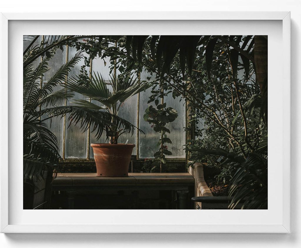 Vintage-Pflanzen am Fenster– Wandbild mit Rahmen – Gerahmtes Bild – Wanddekoration – 80x60 cm – Weiß Rahmen
