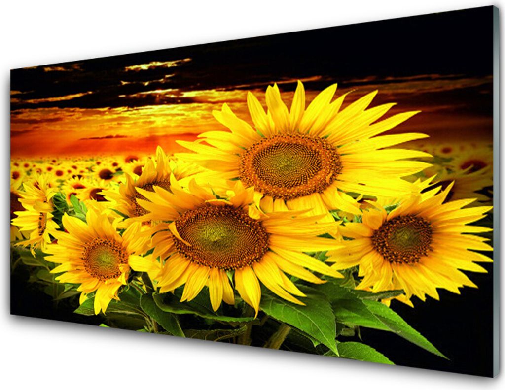 Acrylglasbilder 100x50 Wandbild Druck Sonnenblumen Pflanzen