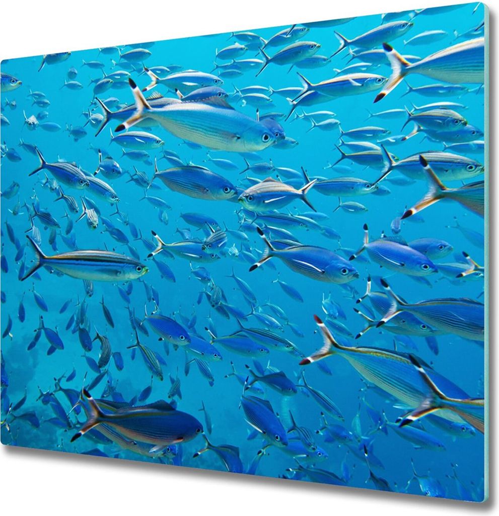 Glas Herdabdeckplatte 60x52 cm Spritzschutz Glasabdeckplatte Schneidebrett Korallenfisch