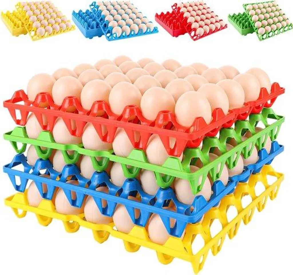 Allecto Plus Plateau en Plastique pour 30 Œufs - Rangement et Transport