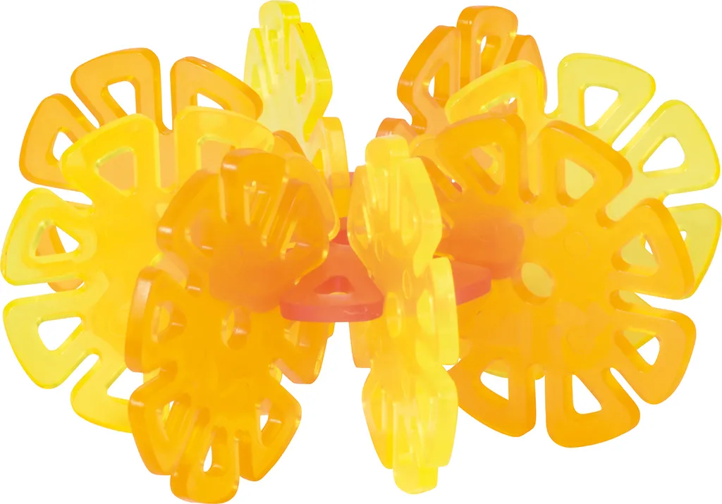 Réussir vos boutures de fleurs transparentes sans risque de pourriture