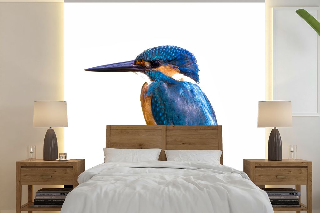 MuchoWow Fototapete für Wohnzimmer oder Schlafzimmer Wandtapete Vinyl Motivtapete Eisvogel - Federn - Zweig - Blau - 350x350 cm - Schlafzimmerta...