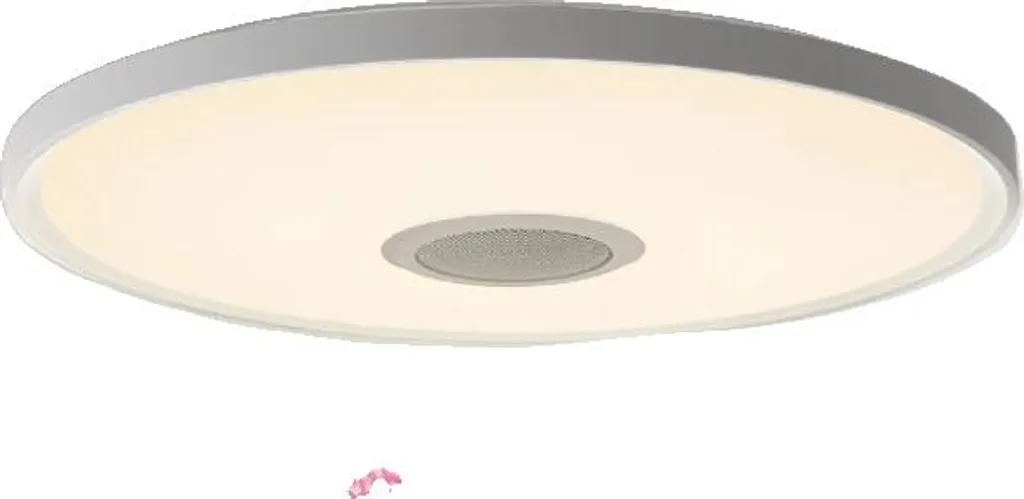 Plafoniera Smart 46cm con Altoparlante Bluetooth e Controllo App