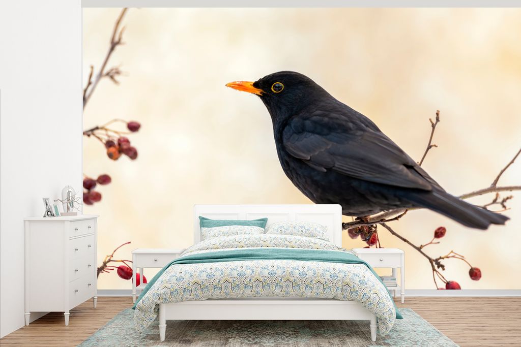 MuchoWow Fototapete für Wohnzimmer oder Schlafzimmer Wandtapete Vinyl Motivtapete Amsel - Vogel - Zweige - Beere - Rot - 375x240 cm - Wand Tapete