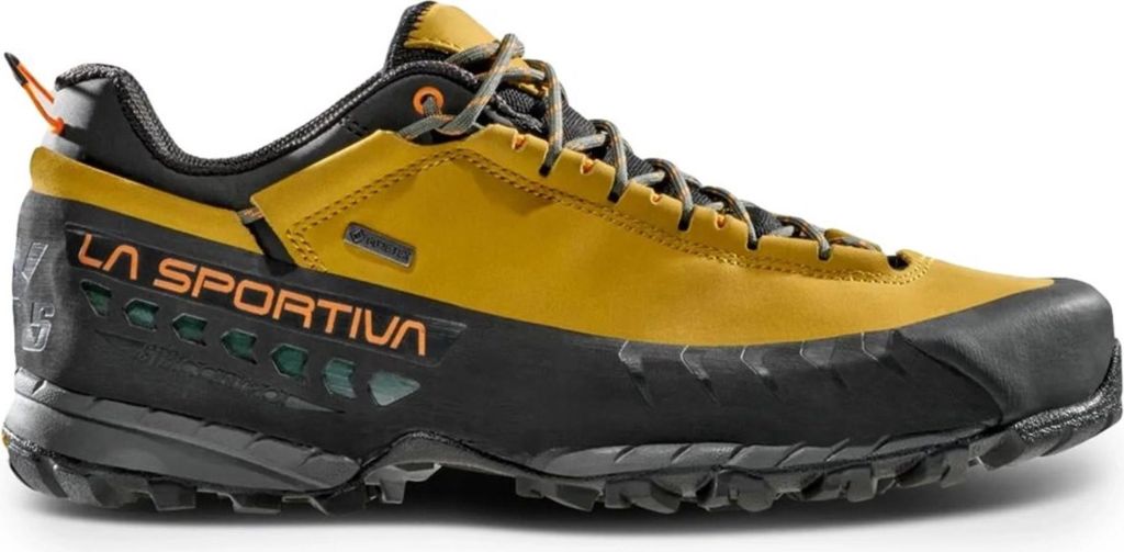 A single hiking shoe is shown against a white background.