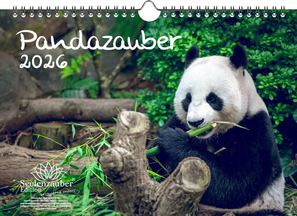 Pandazauber DIN A4 Kalender für 2026 Panda - Seelenzauber