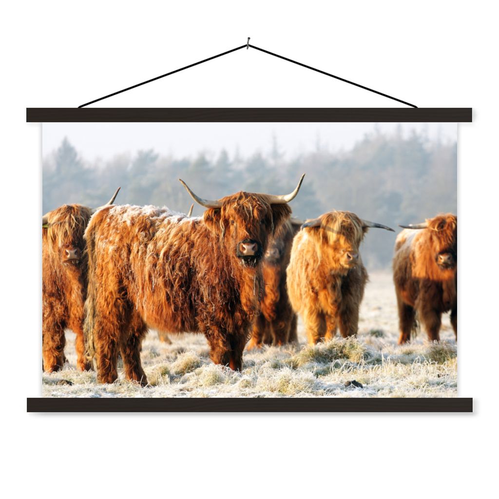 MuchoWow Textilposter Schottische Highlander - Schnee - Wald 90x60 cm mit schwarzem Rahmen - Aufhängungssatz