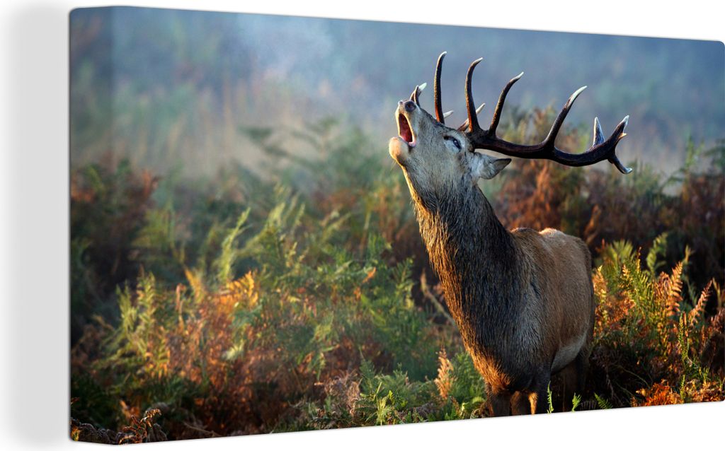 MuchoWow - Leinwandbilder - Hirsche - Wald - Nebel, Wandbild, Wanddeko Bilder Wohnzimmer, 80x40 cm