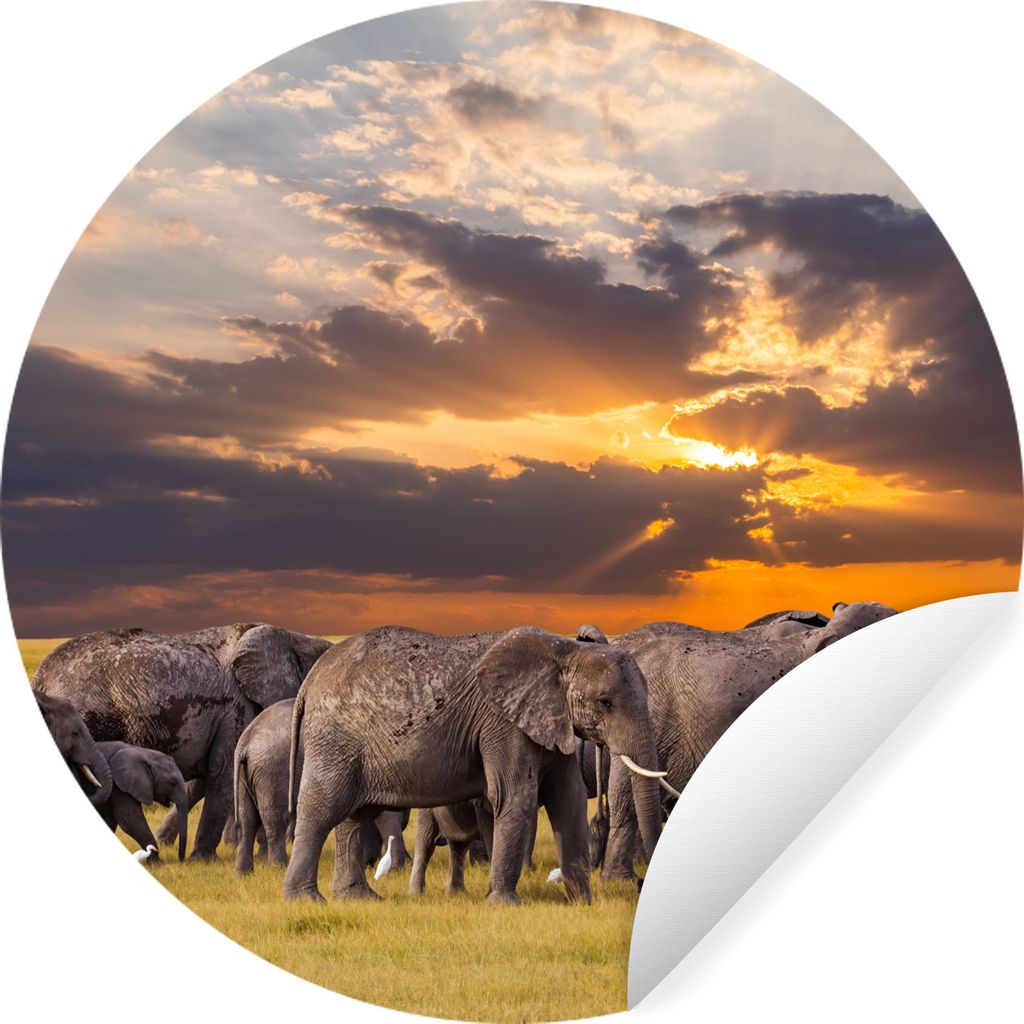 MuchoWow Runde Wandtattoo - Wandsticker Tapete Aufkleber Elefant - Tiere - Gras - Sonnenuntergang - Natur Ø 80 cm Selbstklebend und Repositionie...
