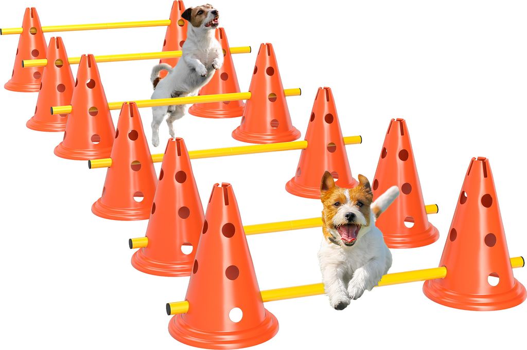 PawHut Agility Set Dogs 6-częściowy sprzęt do agility do Zdjęcie produktu 