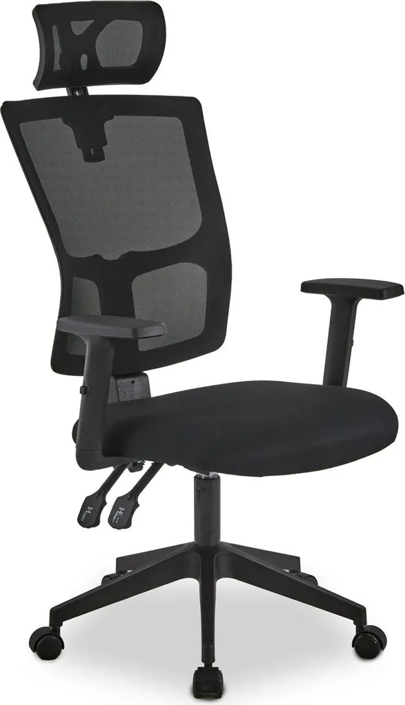 Soulagez votre dos avec le fauteuil ergonomique ETNA PREMIUM réglable