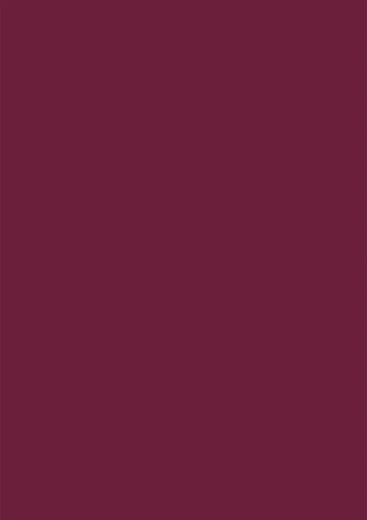 Heyda 211436023 Carton A4 rouge foncé de haute qualité pour vos loisirs