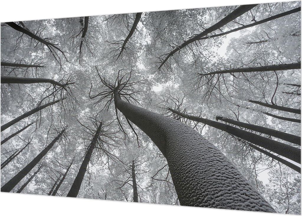 Fototapete - Wandbilder für Wohnzimmer - 416x254 - Dekorative Wandfolie - Modernes Design für Wanddekoration - Tapeten für Innenräume - Winterl...