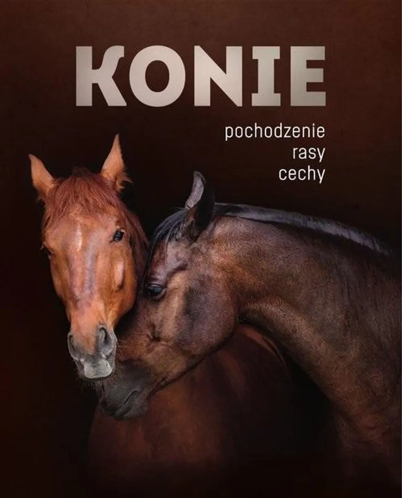 Livre illustré sur les chevaux et guide d'identification des races