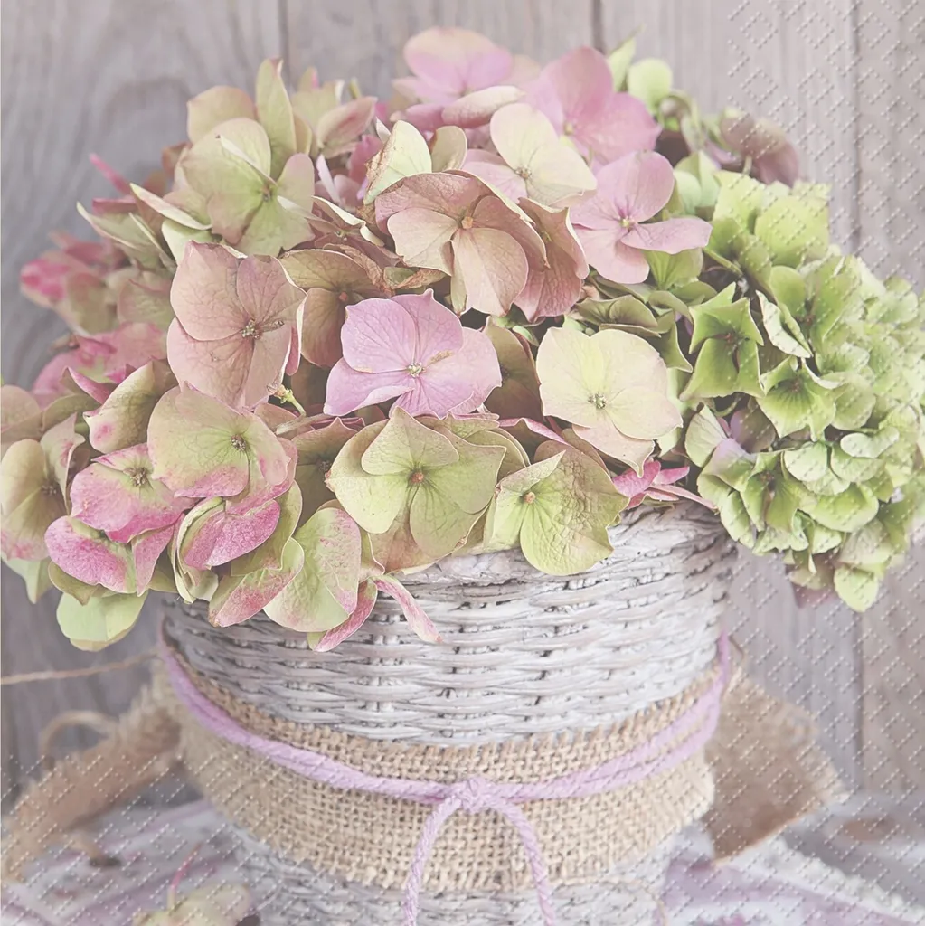 Serviettes en papier Stewo Erla 2572680936 violet clair 33x33 cm x12