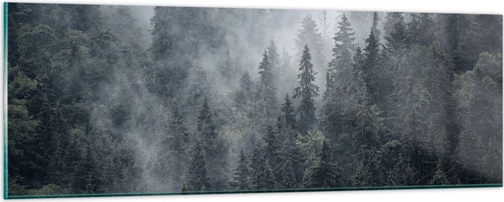 Bilder auf glas - Wald Baum Natur - 90x30cm - Glasbilder - Wandbilder - Kunstdruck - zum Aufhängen bereit - Wanddekoration aus Glas - Glas Bilder ...