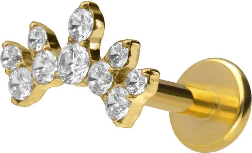 Ohrpiercing, Nasenpiercing Titan Labret mit Innengewinde KRISTALLBOGEN Gold Stablänge: 6mm | Stabstärke: 1,6mm