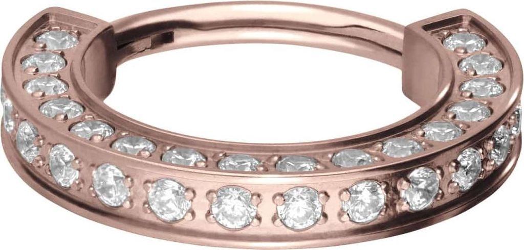 Ohrpiercing, Nasenpiercing, Septum Piercing Titan Segmentring Clicker KRISTALLRAND RoséGold Innendurchmesser: 10 mm