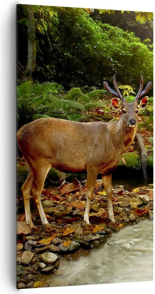 Bild auf Leinwand - Leinwandbild - Herbst berg strom landschaft - 65x120cm - Wand Bild - Wanddeko - Leinwanddruck - Bilder - Kunstdruck - Wanddekor...