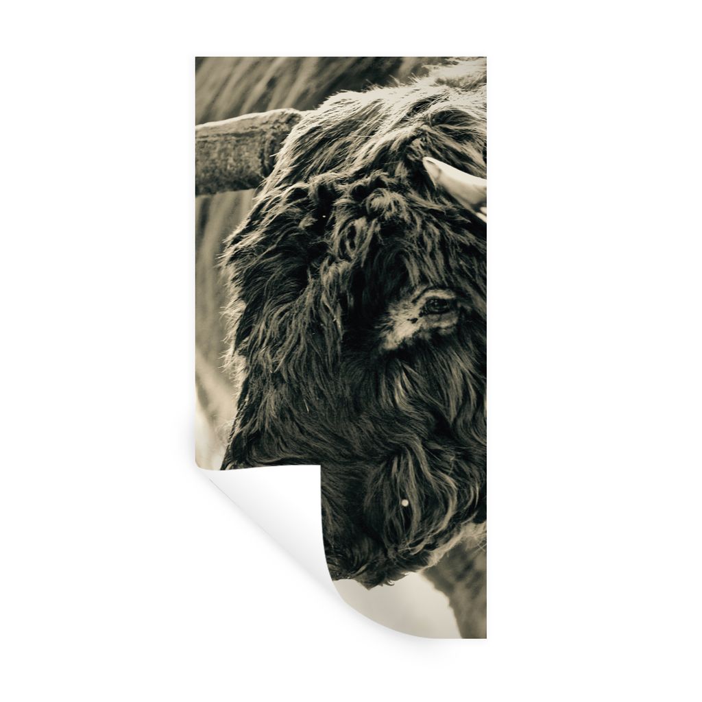 MuchoWow Wandtattoo Wandsticker Wandaufkleber Schottischer Highlander - Schnee - Hörner 60x120 cm Selbstklebend und Repositionierbar - Selbstkle...