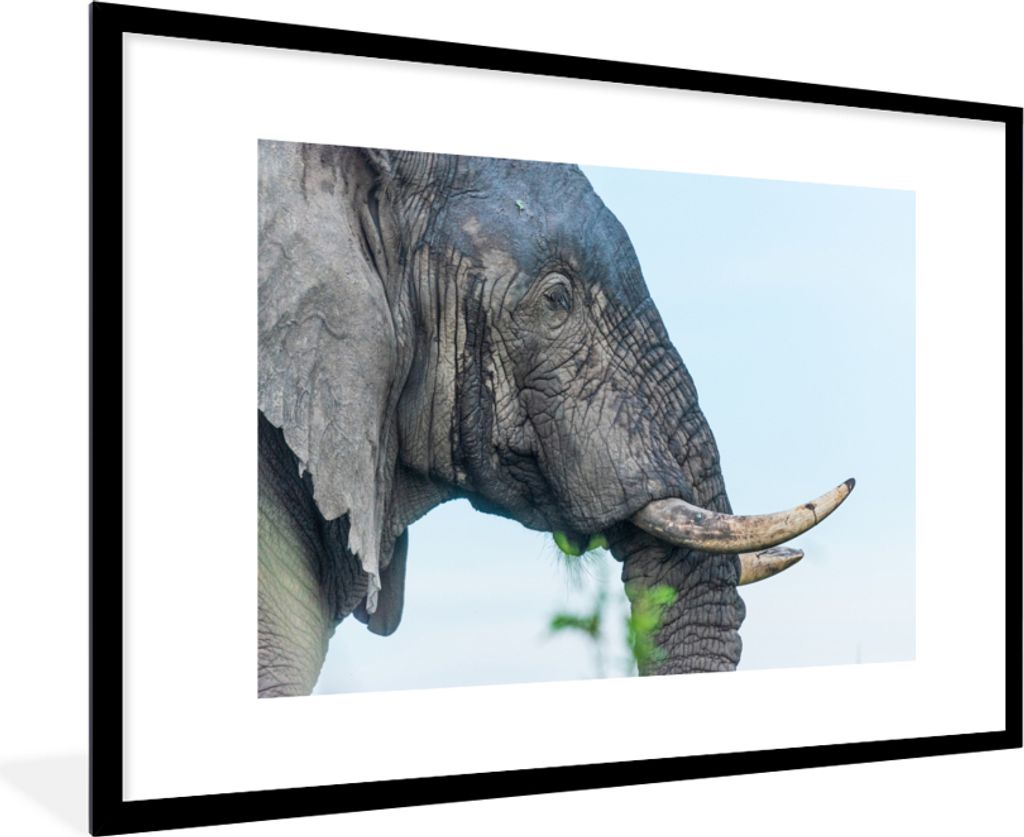 MuchoWow MuchoWow Gerahmtes Poster Elefant - Tiere - Grau - Natur 90x60 cm - Poster mit zchwarzem Bilderrahmen - Wanddekoration - Fotos