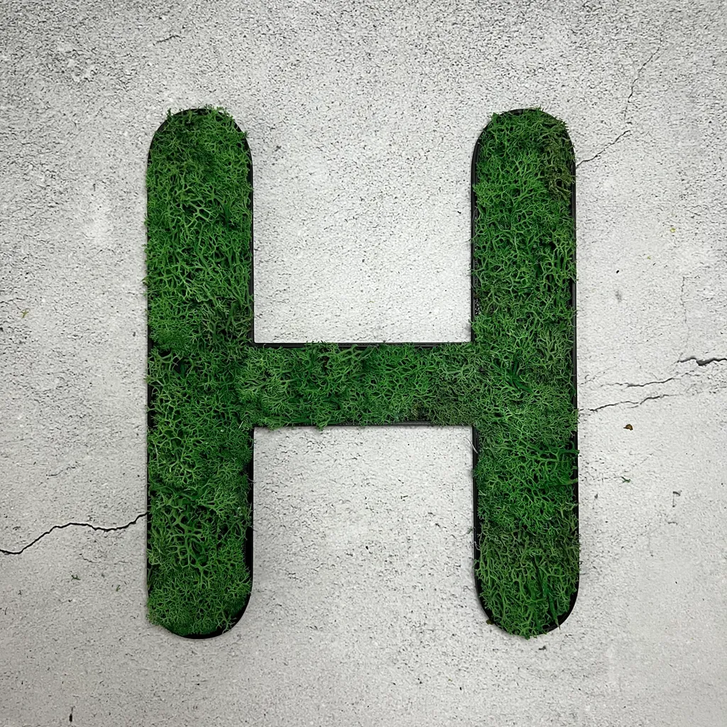 Muschio d'Islanda - Set HEY verde erba - 4