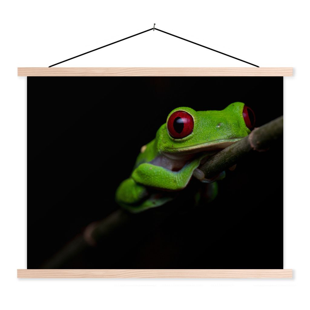 MuchoWow Textilposter Rotäugiger Quecksilberfrosch auf schwarzem Hintergrund 40x30 cm mit holzfarbenen Rahmen - Bilder