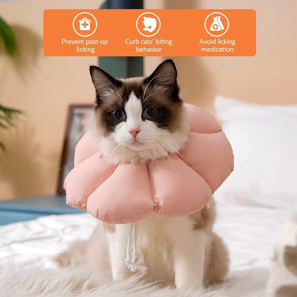 Collier de Sécurité Chat Avont Rose L - Protection Idéale Sortie Extérieure - 2