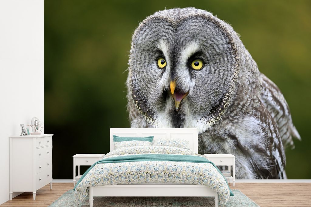 MuchoWow Fototapete für Wohnzimmer oder Schlafzimmer Wandtapete Vinyl Motivtapete Vogel - Eule - Grau - 525x350 cm - Das Hintergrundbild