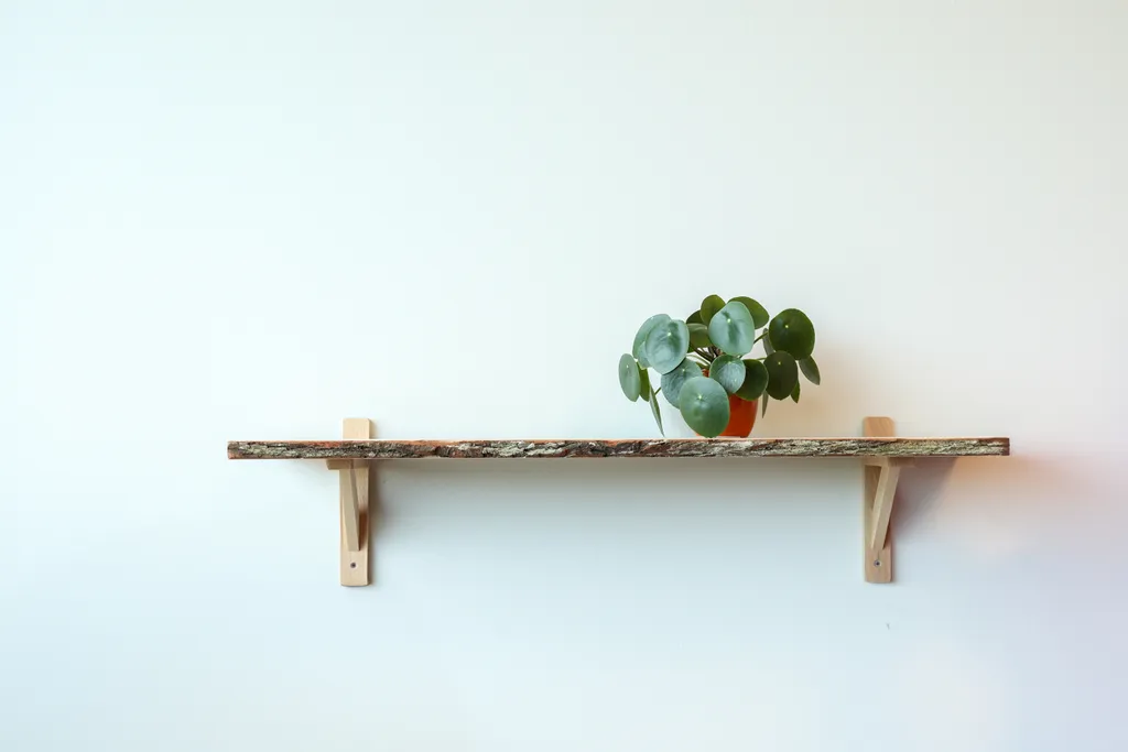 Étagère en chêne pour décoration naturelle - Support bois écorce 80 cm